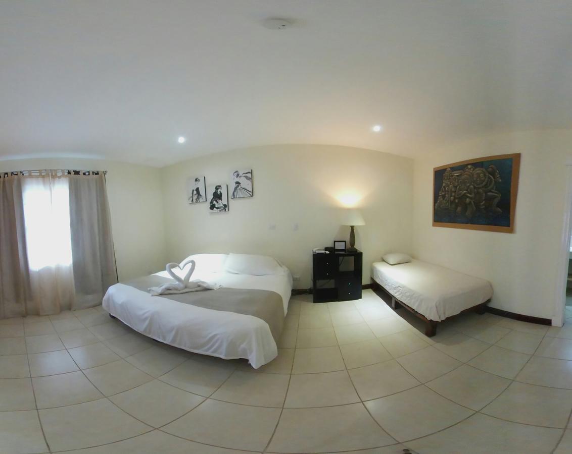 Hotel Luisiana サンホセ エクステリア 写真